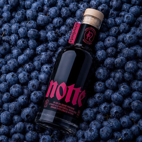 Gin Nottefonda