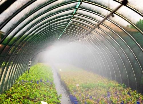 Floricoltura Prandini