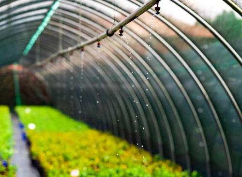 Floricoltura Prandini